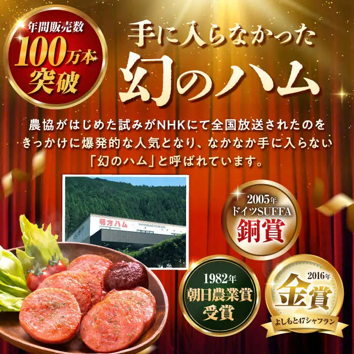 【6回定期便】明方ハム詰め合わせ Bセット[AVBA007]ソーセージ 定期