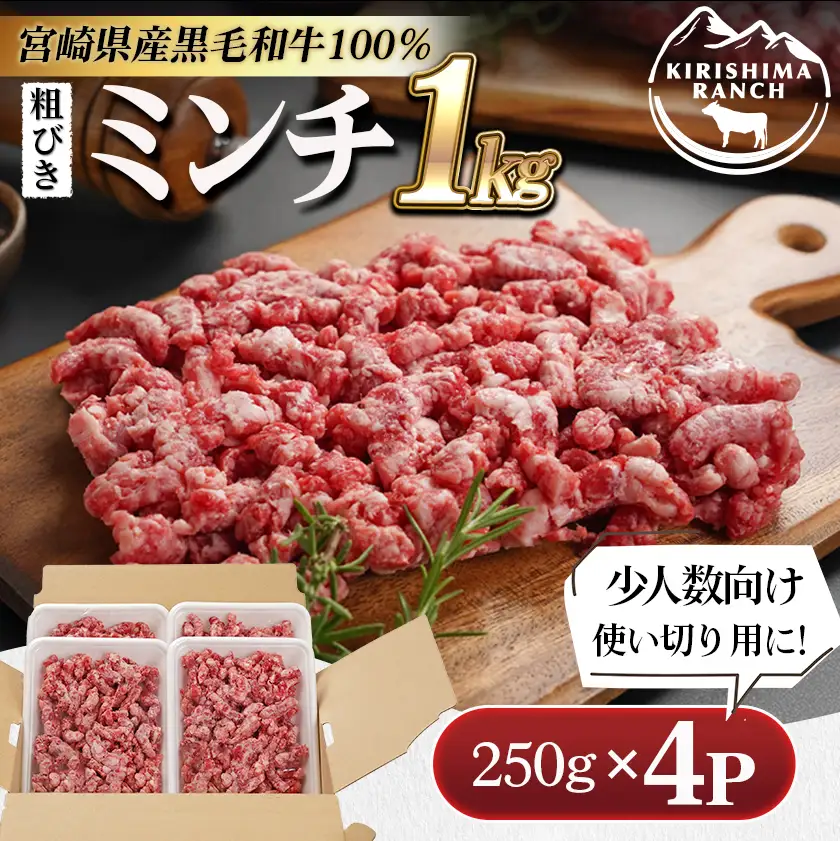 宮崎県産黒毛和牛100％ミンチ(250g×4P)〔E9-003〕_(都城市)