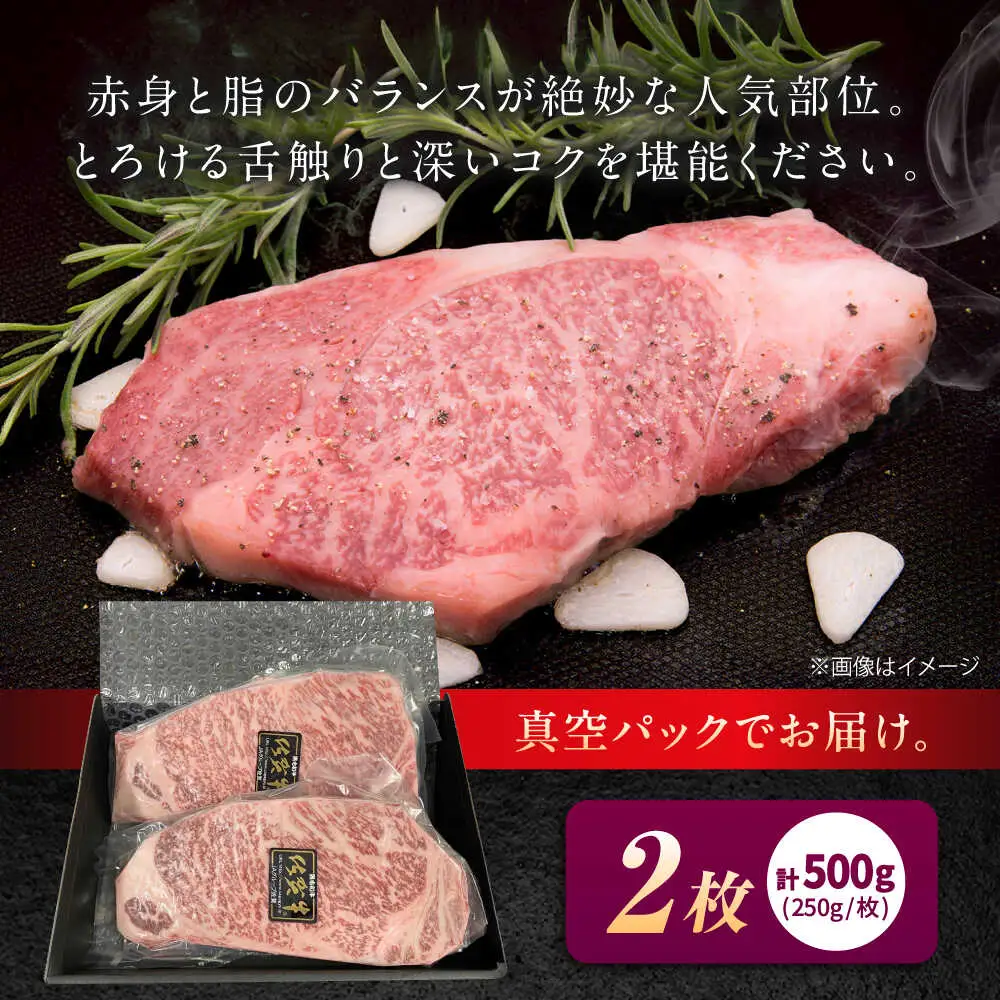 佐賀牛 ロースステーキ 500g（250g×2枚） / 佐賀県 / 織田精肉店 [41ADAB002]