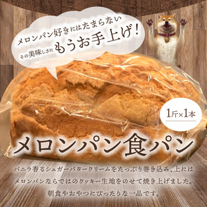 メロンパン食パン 1斤 DJ-0008