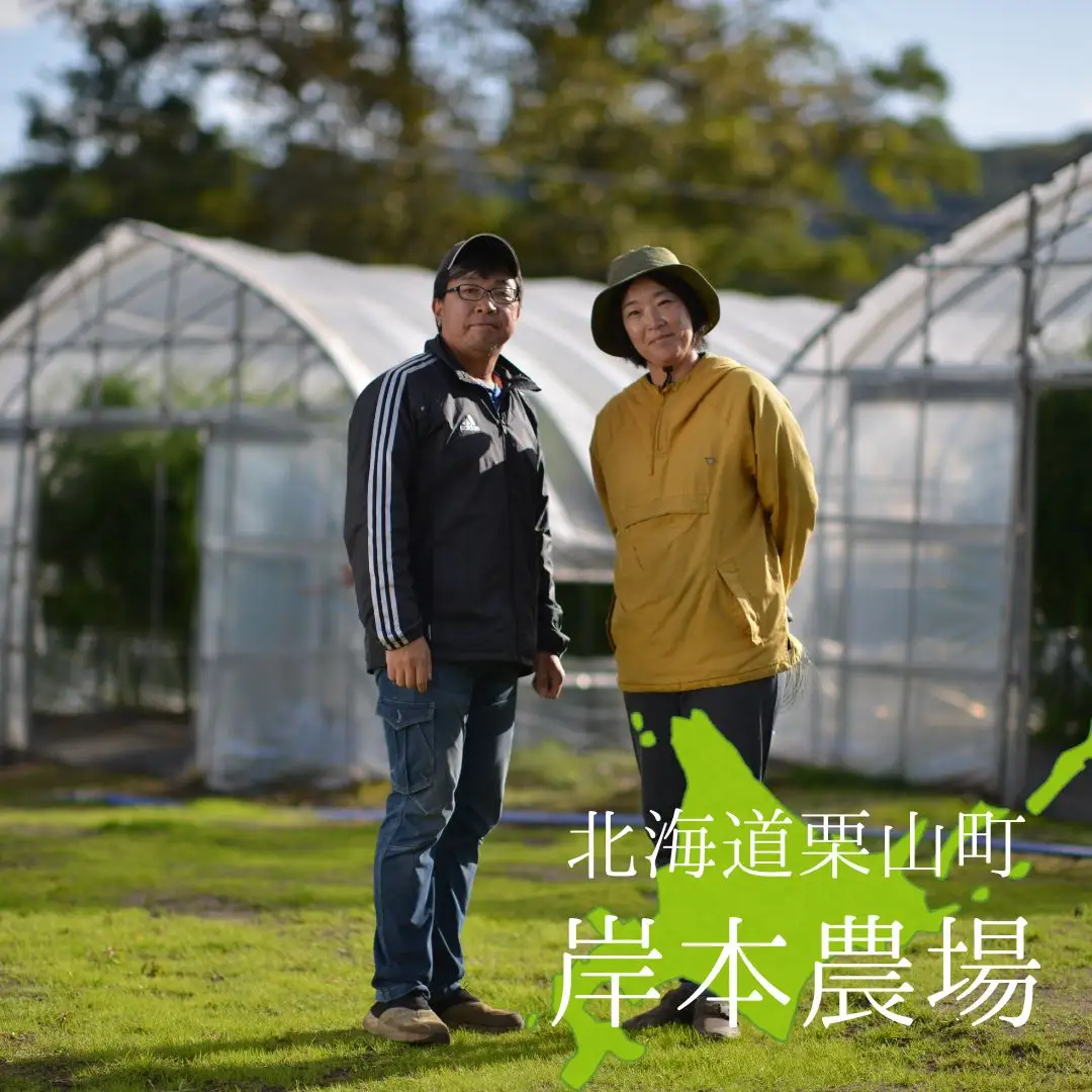 【2027年度産 先行予約】極太 北海道産 春採りグリーンアスパラガス 約1.6kg 3L～2L 岸本農場
