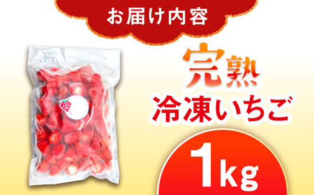 冷凍いちご 1kg / 恵那市 / クリエイティブファーマーズ [AUAH023]