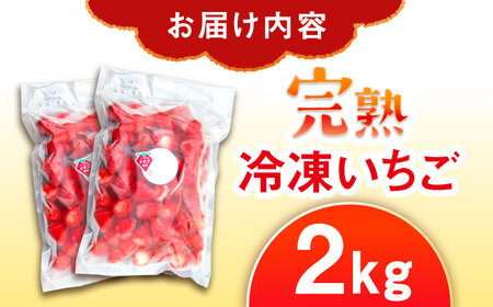 冷凍いちご 2kg / 恵那市 / クリエイティブファーマーズ [AUAH024]