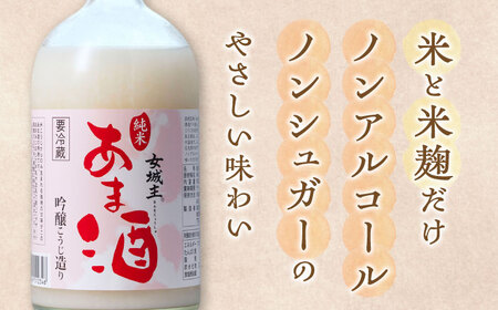 【3回定期便】 純米 あま酒 500ml 10本 / 恵那市 / 岩村醸造 [AUAK037] あま酒