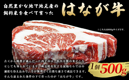 ＜熟成肉 はなが牛リブロースブロック約500g（500g×1個）＞ 牛肉 ステーキ 鉄板焼き 焼き肉 国産 塊肉 かたまり 霜降り しもふり バーベキュー BBQ キャンプ アウトドア 特産品 ゆうぼく 愛媛県 西予市【冷凍】『2か月以内に順次出荷予定』UYB0020