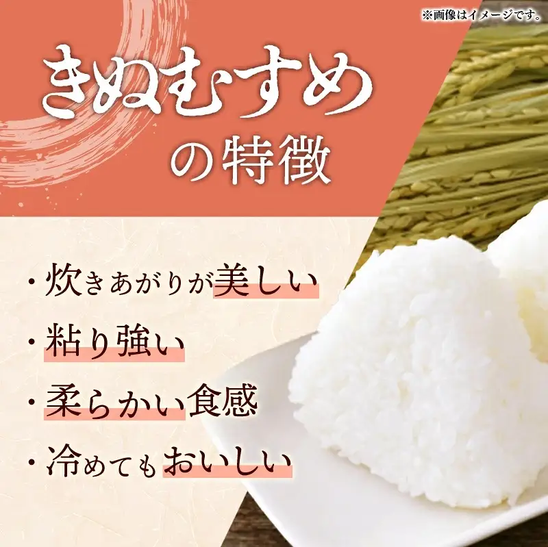 【先行受付】 島根県安来市産 きぬむすめ 玄米 30kg 【令和8年産 新米 先行予約 新米予約 お米 こめ コメ 米 ごはん ご飯 国産 お弁当 美味しい 人気 おすすめ 島根県 安来市】【75-HI-02】
