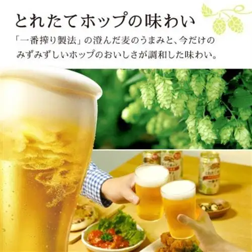 キリン 一番搾り とれたてホップ 生ビール 500ml×12本 1ケース【11月中旬以降順次発送】【1335909】