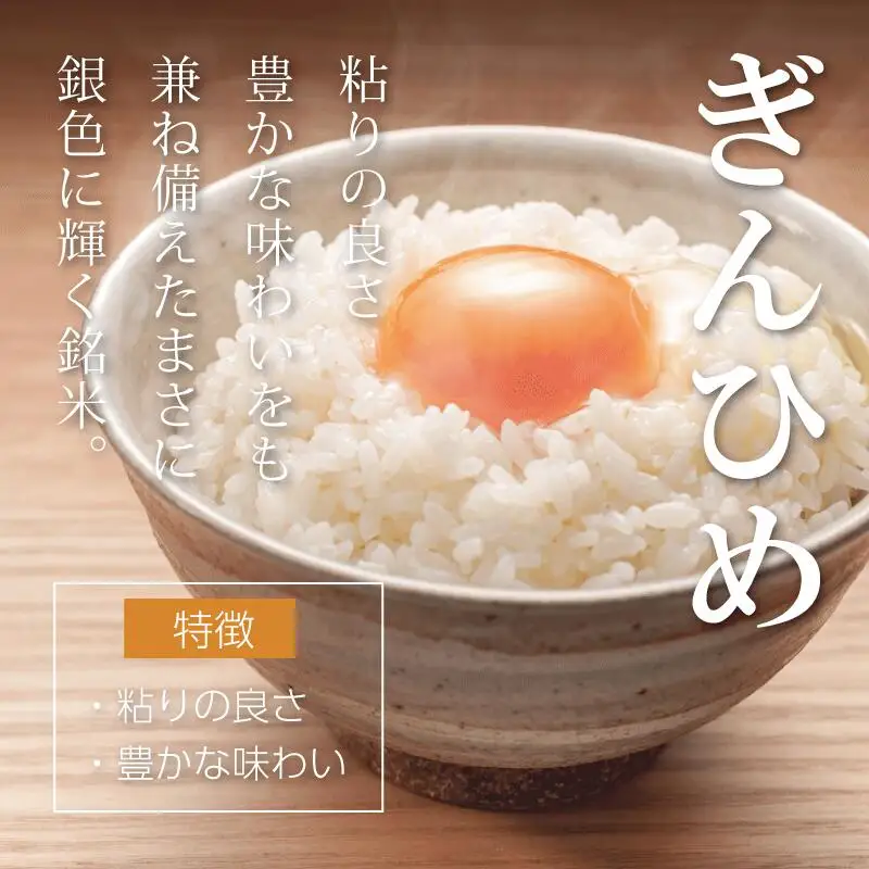 米 三重県産 コシヒカリ ぎんひめ  5kg×1袋
