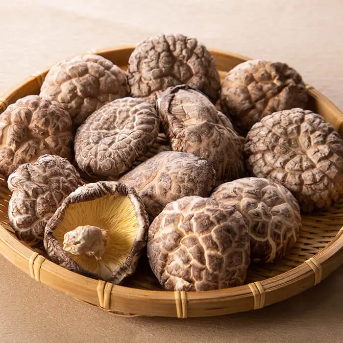 大分県 国東半島産 どんこ椎茸 (計240g・40g×6袋) 椎茸 シイタケ 小分け 肉厚 きのこ キノコ おかず お惣菜 惣菜 常温【opap002】【大分乾物】