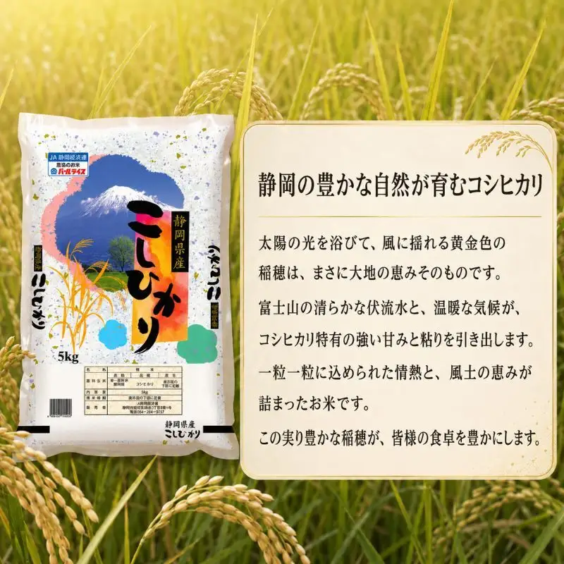 お米 静岡コシヒカリ 5kg×2 白米 コメ 静岡県産 お米