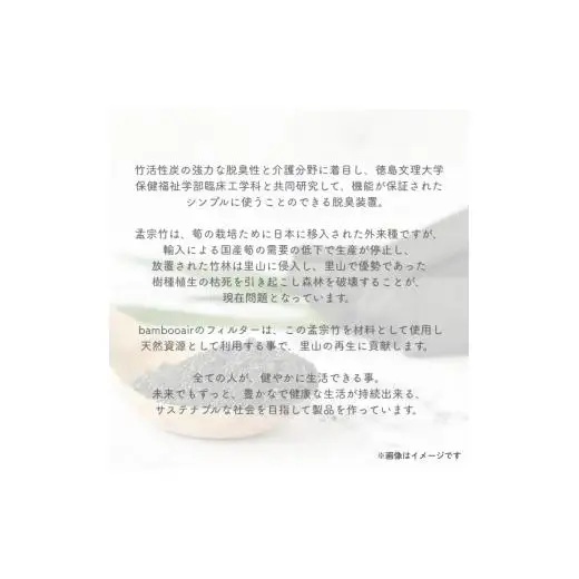 BANBOO AIR（バンブーエア） 竹炭活性炭脱臭装置 （グリーン）