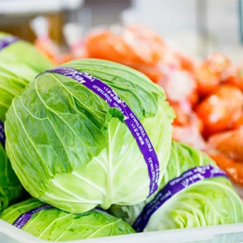 岩手町産の旬野菜セット 野菜 旬 やさい 新鮮 採れたて 詰合せ セット おまかせ  