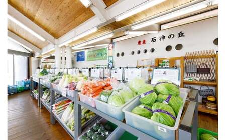 岩手町産の旬野菜セット（5品以上）3ヶ月定期便 