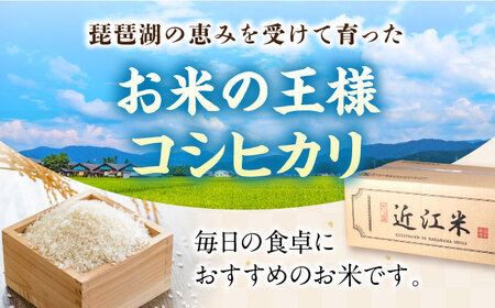 新米 コシヒカリ 10kg 白米 [AQDH002] こしひかり 白米