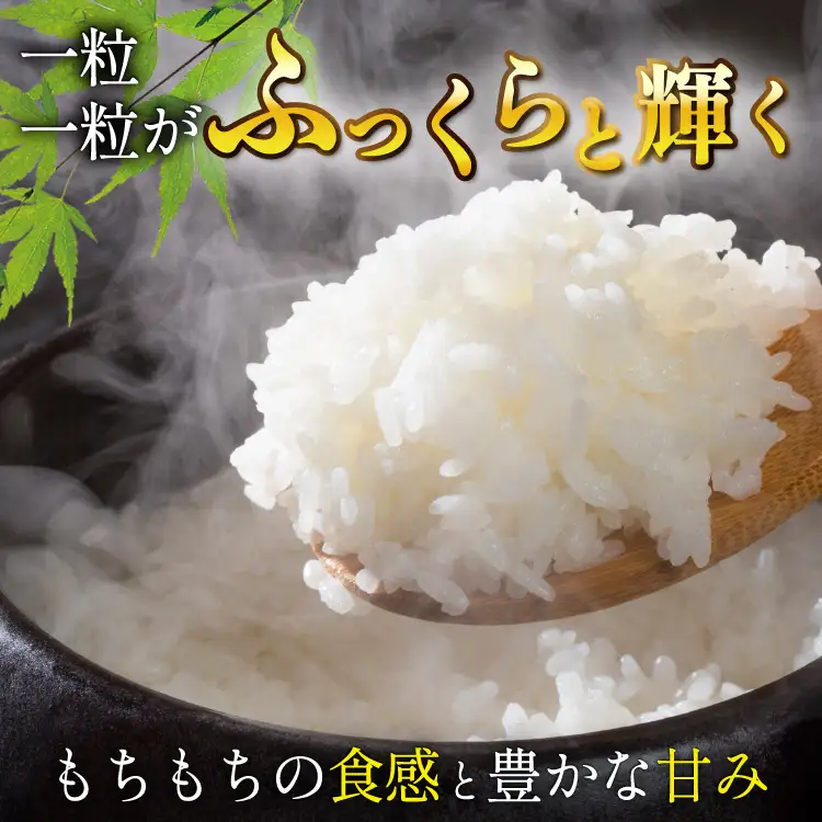 宮城県産 とまたんのひとめぼれ 3kg ひとめぼれ 