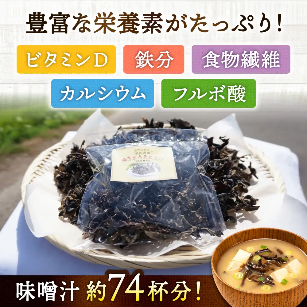 乾燥きくらげ 89g きくらげ キクラゲ[FDS003]