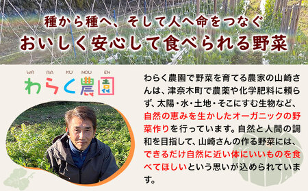 すいか 紅小玉 1玉 わらく農園《2027年7月上旬-7月下旬頃出荷》熊本県 津奈木町 青果物 すいか 西瓜 スイカ 果物 フルーツ