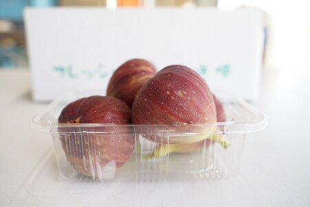【露地栽培】朝もぎ フレッシュな完熟いちじく 碧南市 にいみ農園 フルーツ いちじく トマト農家 H031-007