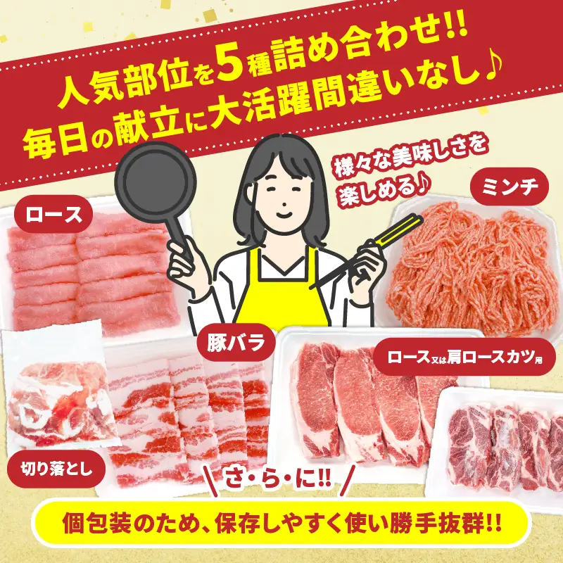 宮崎県産 豚肉 5種 セット (合計3kg) 国産 食品 豚バラ 切り落とし ロース スライス ミンチ 焼肉 BBQ しゃぶしゃぶ 生姜焼き とんかつ ソテー 豚丼 ハンバーグ 個包装 小分け おすすめ おかず お弁当 晩ご飯 手軽 便利 ギフト 贈り物 冷凍 日南市 送料無料_CC69-25