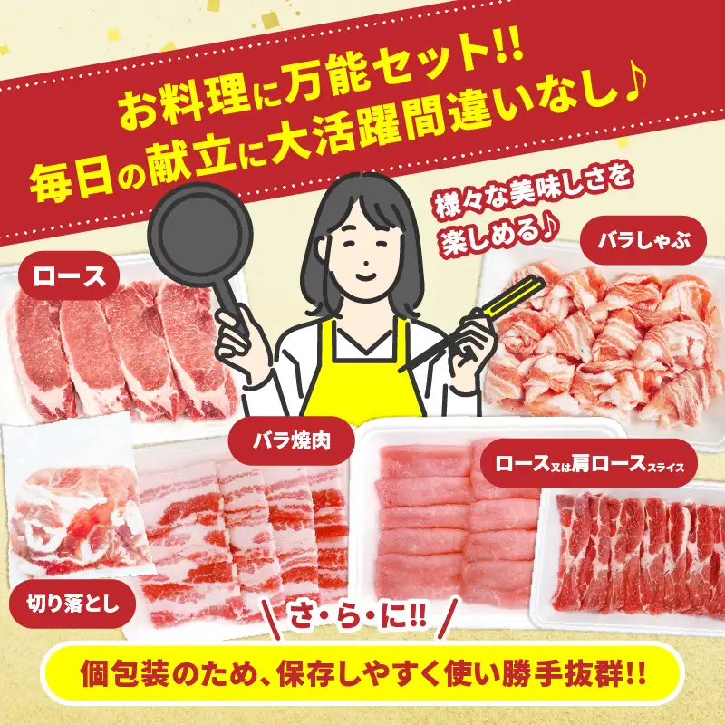宮崎県産 豚肉 5種 セット (合計3.2kg) 国産 食品 豚バラ 切り落とし ロース スライス 焼肉 BBQ しゃぶしゃぶ 生姜焼き とんかつ ソテー 豚丼 野菜炒め 冷しゃぶ 個包装 小分け おすすめ おかず お弁当 晩ご飯 手軽 便利 ギフト 贈り物 冷凍 日南市 送料無料_CD73-25