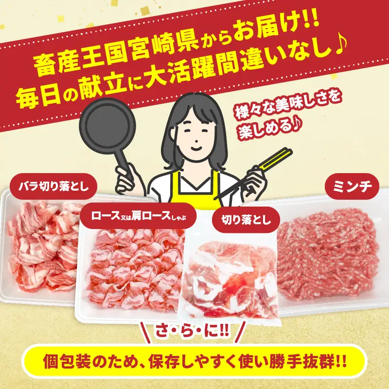 宮崎県産 豚肉 4種 セット (合計3.8kg) 国産 食品 豚バラ 切り落とし ロース 肩ロース ミンチ しゃぶしゃぶ 豚丼 ハンバーグ 餃子 ミートソース 個包装 小分け おすすめ おかず お弁当 晩ご飯 手軽 便利 万能食材 ギフト 贈り物 冷凍 日南市 送料無料_DA47-25
