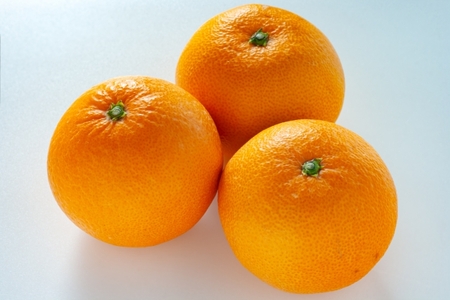 【先行予約】【家庭用】伊予柑 約5kg | 柑橘 みかん 果物 フルーツ 愛媛県産 農家直送　※離島への配送不可　※2027年1月中旬から順次発送予定  IKTAU001