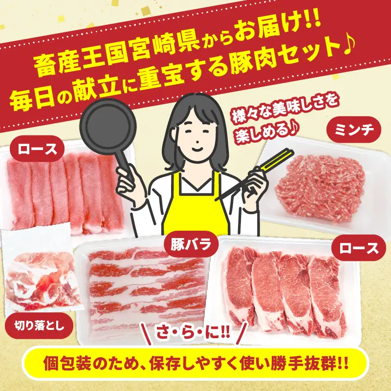 宮崎県産 豚肉 5種 セット (合計5kg) 国産 食品 ロース 豚バラ スライス 切り落とし ミンチ しゃぶしゃぶ 生姜焼き とんかつ ソテー 豚丼 ハンバーグ 餃子 個包装 小分け おすすめ おかず お弁当 晩ご飯 手軽 便利 ギフト 贈り物 冷凍 日南市 送料無料_DC33-25