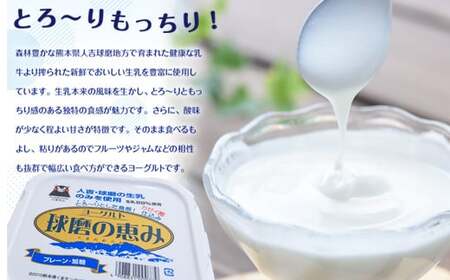 【3ヶ月定期便】球磨の恵みヨーグルトセット（砂糖不使用1kg×4個）計12kg