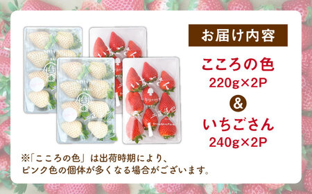 先行予約 2027年1月〜発送  こころの色×いちごさん 紅白いちごセット 計920g / いちご [IBJ023]