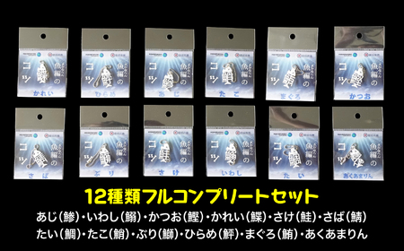 魚編のコツ　12種類コンプリートセット（ボールチェーン）| 魚編 漢字 コツ ボールチェーン コンプリート 全種類 セット キーホルダー 漢字雑貨 魚偏 かわいい 漢字グッズ プレゼント ギフト 学習 雑貨 キーチャーム | DF008