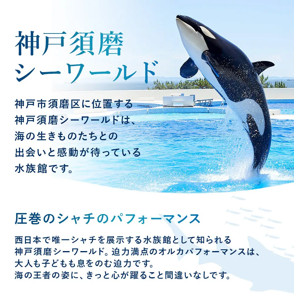 神戸須磨シーワールド（水族館）入館券　2枚セット（有効期限：～2027年3月31日）