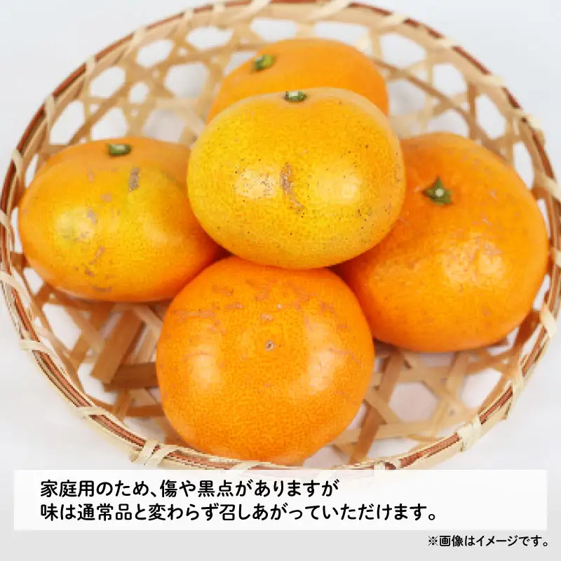【みかん定期便】みかん定期便3回玉津柑橘倶楽部B030-072048