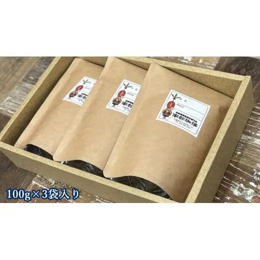 南部珈琲 ブレンド 100g × 3袋