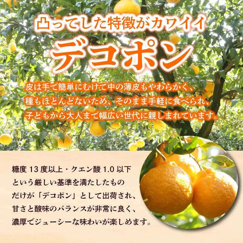 デコポン 不知火 約5kg 2027年 先行予約  秀品 デコポン デコポン デコポン