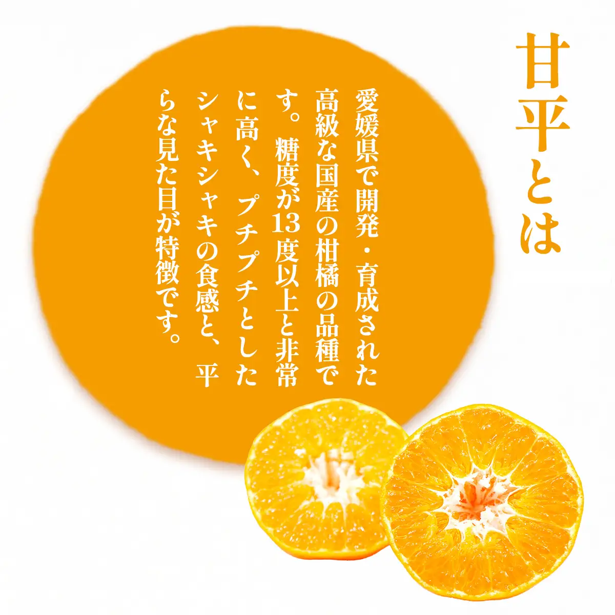 【先行予約】【数量限定】【家庭用】浅野農園の甘平（かんぺい）計5kg ※離島への配送不可（2027年2月中旬頃より順次発送予定） IKTAC027