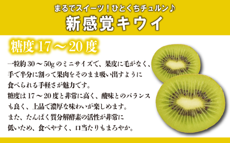 さぬきキウイっこ 約3kg 先行予約  サイズ混合 キウイ