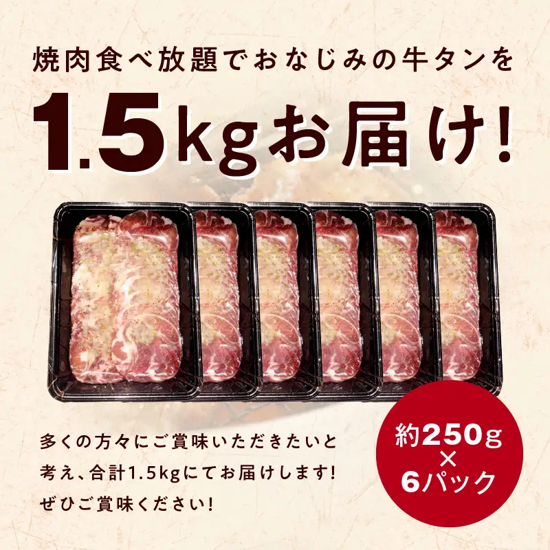 牛たん三昧 定期便 1.5kg×3回【250g×6】