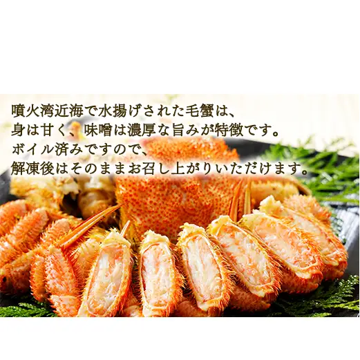 【2026年12月発送】北海道産  ボイル毛蟹 約1kg（500g前後×2尾）蟹 カニ 冷凍 