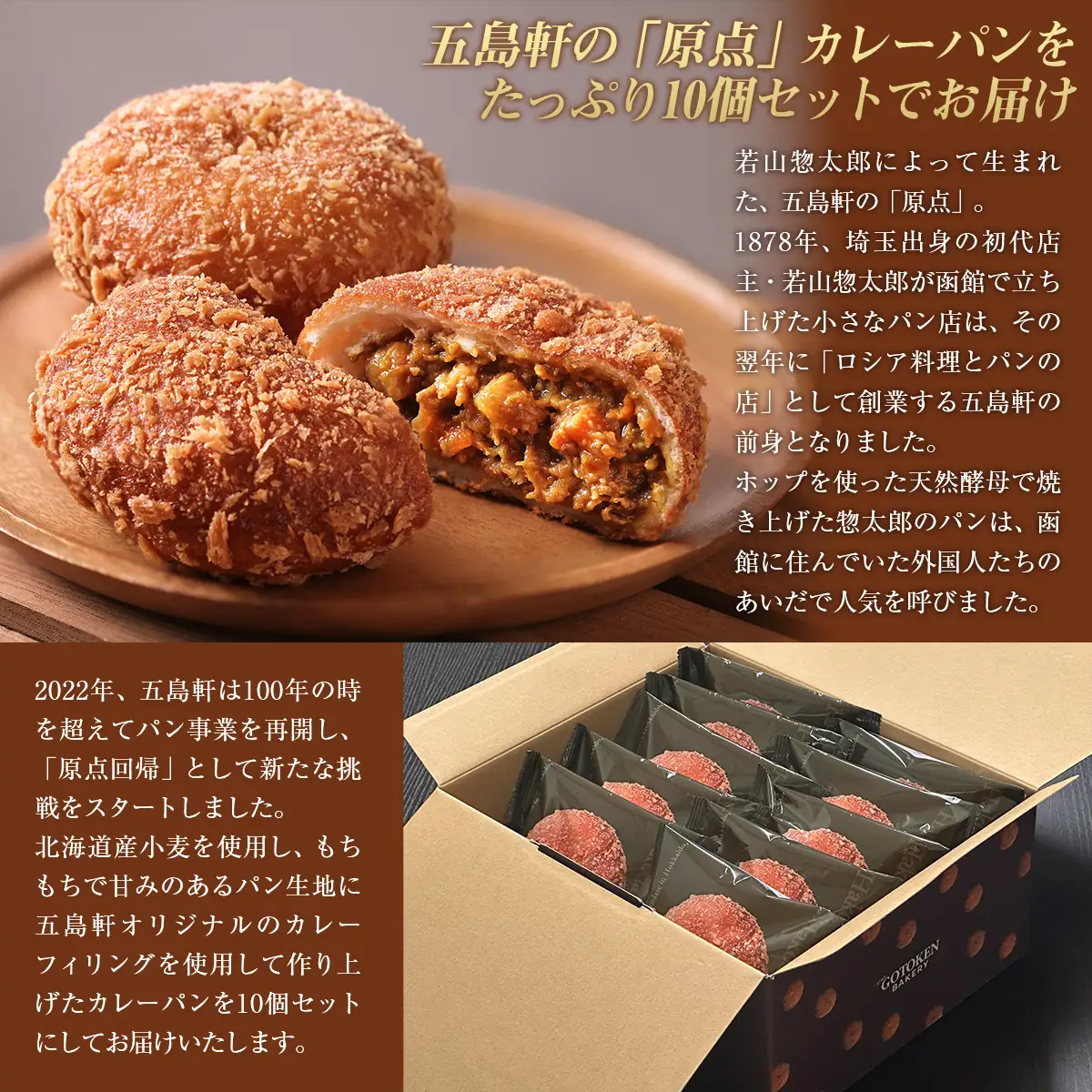 函館カレーパン10個セット HOKE019