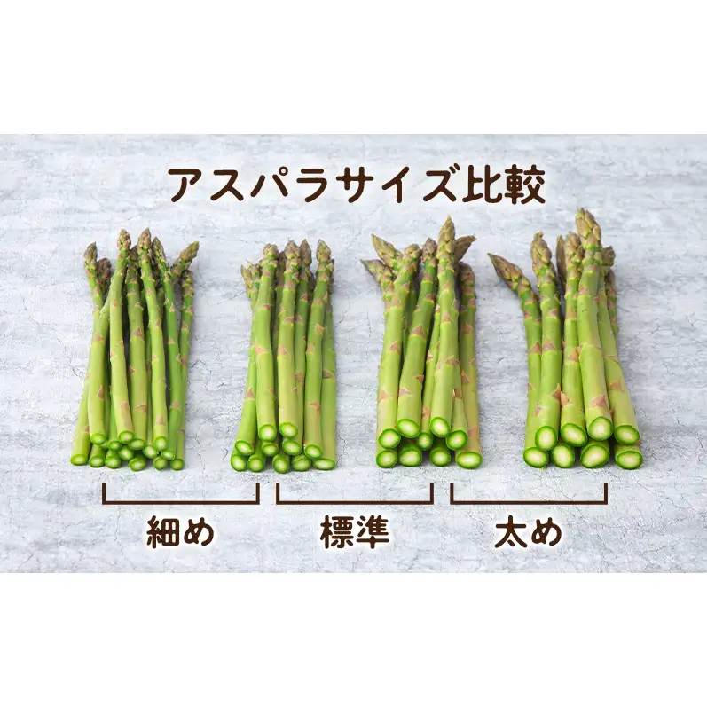 【2027年春発送】富良野産 アスパラ 約1kg  贅沢な太め (L～3Lサイズ混合) 中山農園 野菜