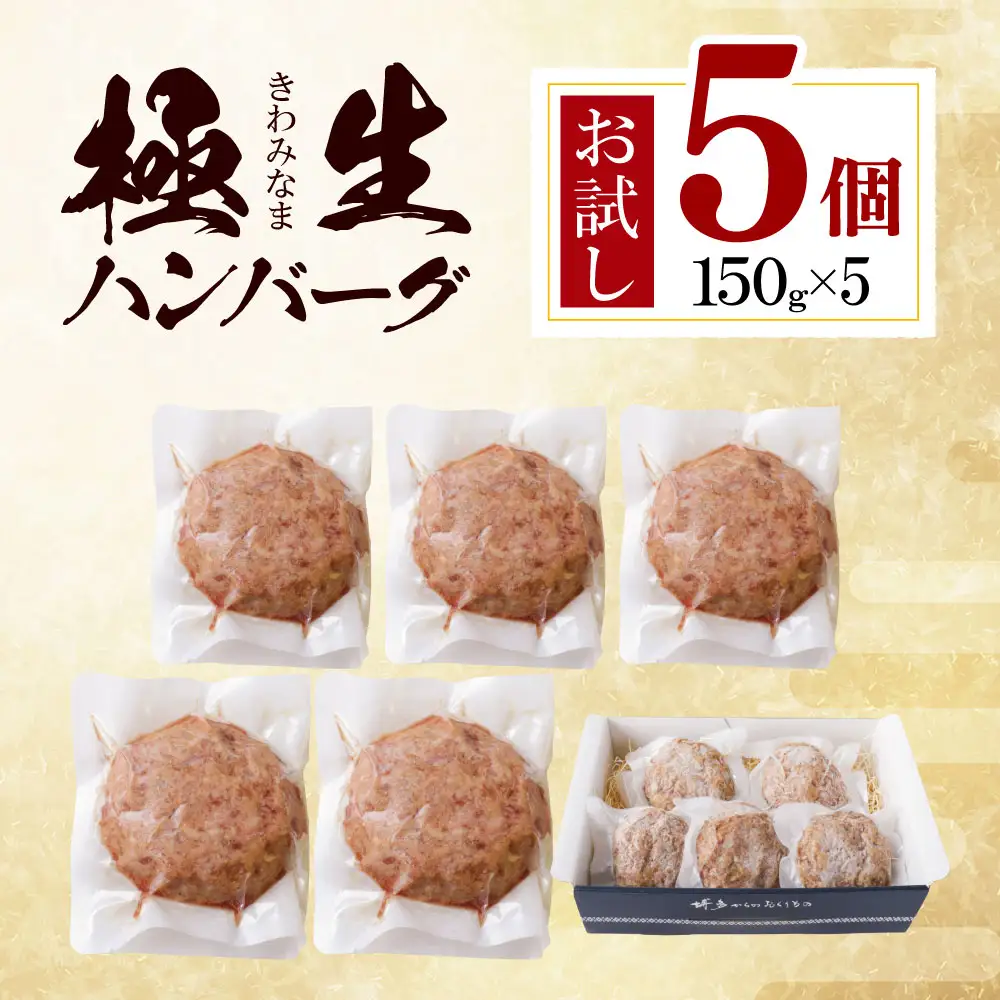 Z61-40 極生ハンバーグ 5個セット(150g×5) ハンバーグ