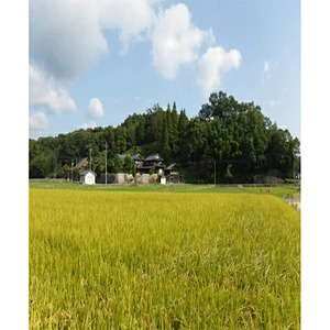 ≪栽培期間中減農薬≫ 三原の絶景白滝山麓の美味しいお米 玄米15kg 2025年10月発送予定 瀬戸内ビオファーム ご飯 米 おこめ 002035