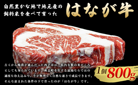 ＜熟成肉 はなが牛リブロースブロック約1.6kg（800g×2個）＞ 牛肉 ステーキ 鉄板焼き 焼き肉 国産 塊肉 かたまり 霜降り しもふり バーベキュー BBQ キャンプ アウトドア 特産品 ゆうぼく 愛媛県 西予市【冷凍】『2か月以内に順次出荷予定』UYB0019