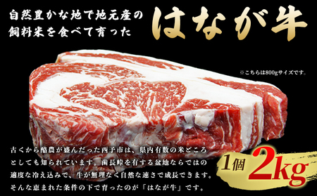 ＜熟成肉 はなが牛リブロースブロック約2kg（2kg×1個）＞ 牛肉 ステーキ 鉄板焼き 焼き肉 国産 塊肉 かたまり 霜降り しもふり バーベキュー BBQ キャンプ アウトドア 特産品 ゆうぼく 愛媛県 西予市【冷凍】『2か月以内に順次出荷予定』UYB0021