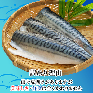 訳あり 塩サバ 腹骨取り 約3.5kg 【9月以降配送】 サバ