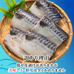 訳あり 熟成 塩サバ 切身 約3.5kg 【11月以降配送】 サバ
