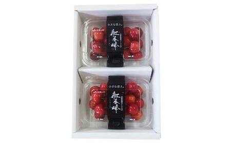 令和9年産【先行受付】山形県産さくらんぼ＜紅秀峰＞秀品 約400g(約200g×2P) Lサイズ以上 期間限定 数量限定 山形県産 サクランボ フルーツ 果物 くだもの 贈答 F4A-0961