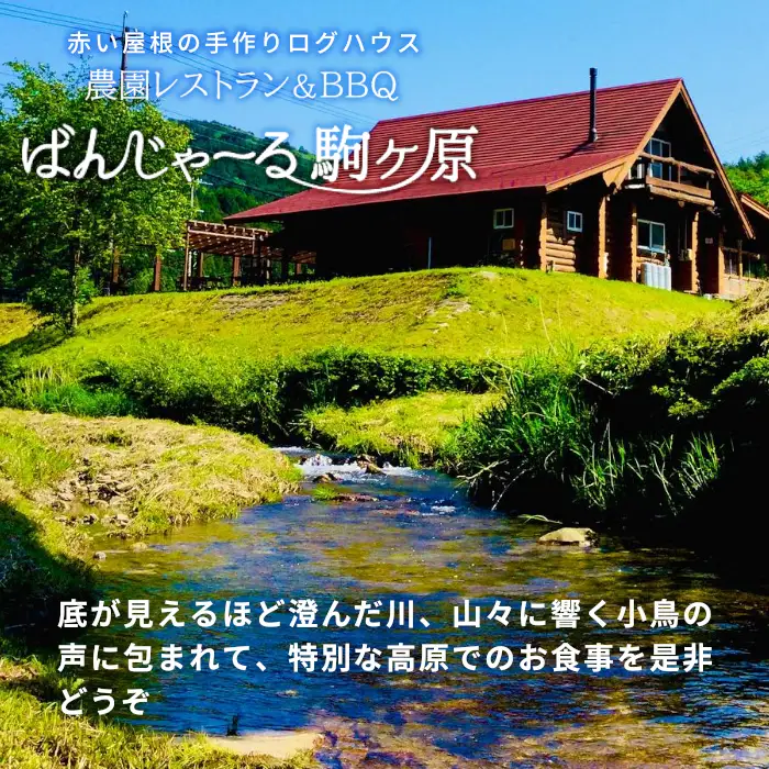 農園レストラン&BBQが楽しめる ログハウス ばんじゃーる駒ヶ原 お食事券 3000円 利用券 段戸山高原牛 ステーキ バーベキュー 食事 牛肉 野菜 食材 ハンバーグ -227