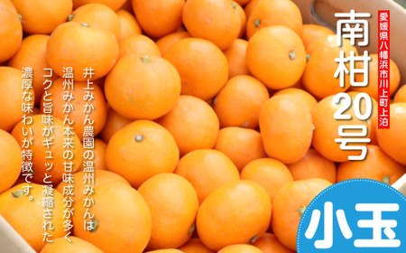えがおみかん （南柑20号） 5kg みかん 蜜柑 ミカン くだもの 果物 フルーツ 愛媛県 温州みかん 【2026年12月上旬-2027年2月下旬発送】 （562-1）