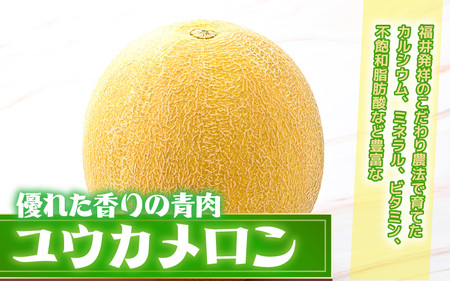 ユウカメロン 2玉 (1玉あたり：1.5kg以上)【2027年6月中旬以降発送】メロン フルーツ [A-21220]